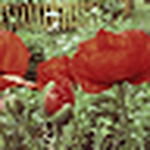 Profile Picture of Ron Weber (@freki74) on Flickr