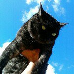 adrian_monk - Instagram Profile Picture of adrian_monk (@adrian_monk) on Instagram