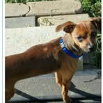 Profile Picture of Edward Reinders (@Edward-Reinders) on Facebook