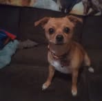 Jake Hunnell - Facebook Profile Picture of Jake Hunnell (@jake.hunnell) on Facebook