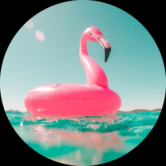 Profile Picture of Jaclynn Zacharuk (@jaclynn_z) on Poshmark