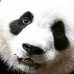 Profile Picture of Jameson Alllison Foster (@yaboijislit) on Instagram