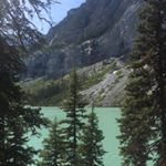 Profile Picture of Charles Tyler (@choppedbycharles) on Instagram