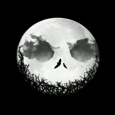 Profile Picture of Joe Flint (@92Flint) on Twitter