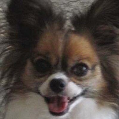 Profile Picture of Mike Milburn (@corkymilb) on Twitter