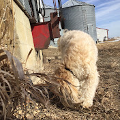 Profile Picture of Melanie Vander Schaaf (@melanievanderschaaf6473) on Youtube