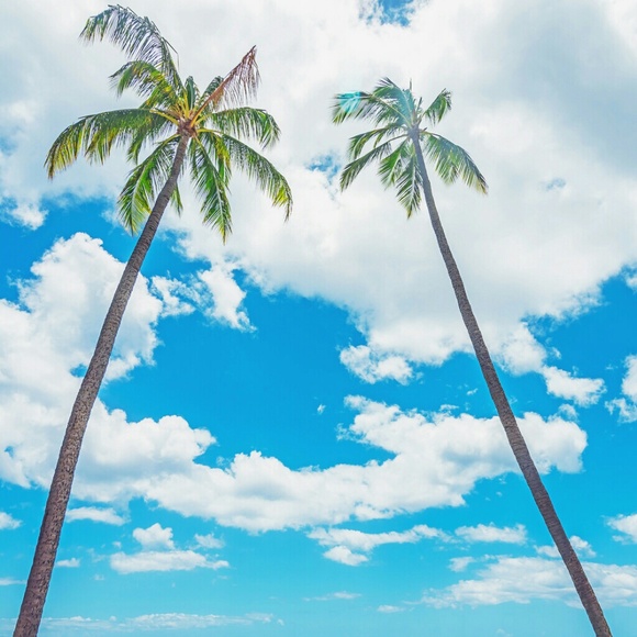 Profile Picture of Nate Maciolek (@n8ly) on Poshmark