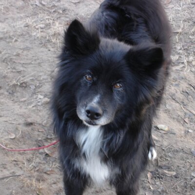 Profile Picture of Lacey Westbrook (@Ishmael528) on Twitter