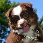 Profile Picture of Lucy Lou Wiggins (@lucylouwiggins) on Instagram