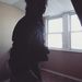 Profile Picture of Davey Bonko (@daveybonker) on Pinterest