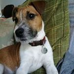 Profile Picture of Lara Wilkes (@wilkeslara) on Instagram