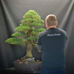 Profile Picture of Michael Rinnerhofer 🇱🇻 (@michael_rinnerhofer_bonsai) on Instagram