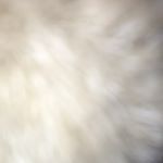 Kevin Hertel - Instagram Profile Picture of Kevin Hertel (@kevin12_2005) on Instagram