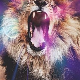 Profile Picture of Isaiaha Clairbush (@isaiaha275) on Twitter