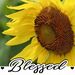 Profile Picture of Janet Dunsworth (@jkdunsworth) on Pinterest