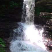 Profile Picture of Danielle Kovaleski-Belles (@daniellebelles) on Pinterest