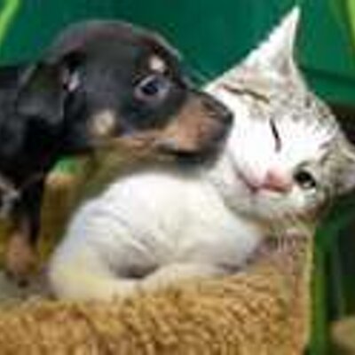 Alexa Randall - Twitter Profile Picture of Alexa Randall (@heygirl100) on Twitter