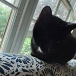 Profile Picture of Tess Bishop Oldfield (@oficallyme.tess) on Instagram