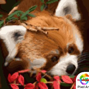 Profile Picture of Matthew_hall_sl (@matthew_hall_sl) on Tiktok