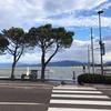 Profile Picture of Davide Biagi (@@davidebiagi0) on Tiktok