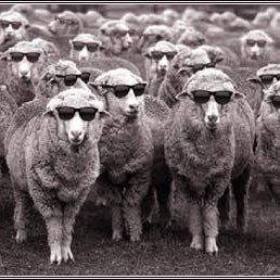 Profile Picture of LaPeste (@PhaatBoyz) on Twitter