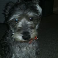 Profile Picture of Janice Reale (@janice-reale) on Quora