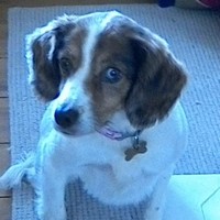 Profile Picture of Isla Richards (@isla-richards-2) on Quora