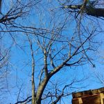 Profile Picture of Amanda Fournier (@manders_photography) on Instagram