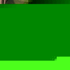 Profile Picture of Calvin Gilmore (@critter_collecter) on Myspace