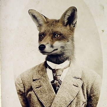 Profile Picture of Tad Lidikay (@tadlidikay) on Twitter