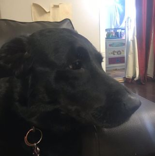 Profile Picture of Daniel Harbick (@daniel.harbick) on Facebook