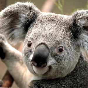 Profile Picture of Lawen (@lawen.osman.58) on Myspace