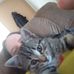 Profile Picture of Chad Kirk (@chad.kirk.125) on Facebook