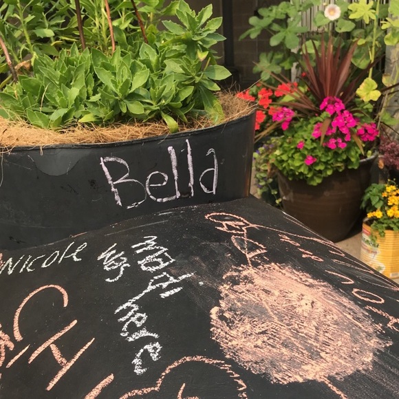 Profile Picture of Bella Cordova (@_bella_1338) on Poshmark