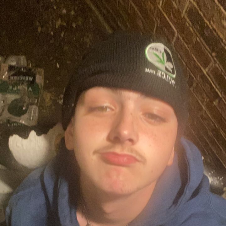Profile Picture of Stephen Wolf (@idk_man_its_like_crazy) on Tiktok