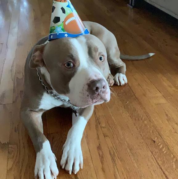 Profile Picture of Jayson Biafore (@jaysonbiafore) on Poshmark