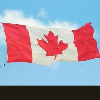 Profile Picture of Beverly McQuiston (@girlpurple17) on Instagram