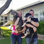 Profile Picture of Hillary Riggs (@cutabeara) on Instagram