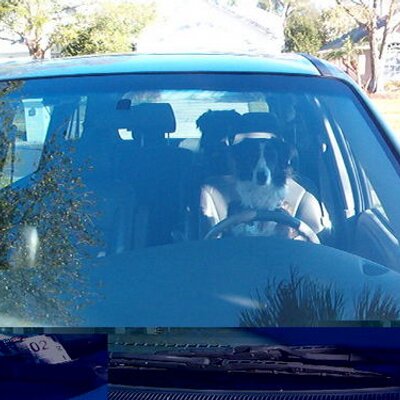 Profile Picture of Kitty Phillips (@KittyPhillips1) on Twitter