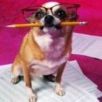 Alexa Craig - Instagram Profile Picture of Alexa Craig (@mustache_lover_39) on Instagram