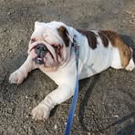 Joel Richard - Facebook Profile Picture of Joel Richard (@Joel-Richard) on Facebook