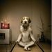 Profile Picture of Kevin Roller (@klr955) on Pinterest
