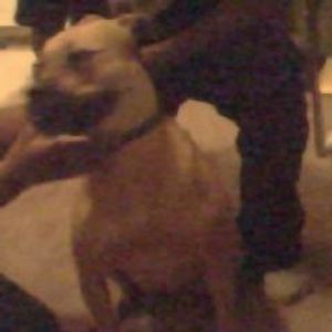 Profile Picture of Tamica Smith (@128745542) on Myspace