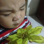 Brian Ed Nieva - Instagram Profile Picture of Brian Ed Nieva (@brianednieva) on Instagram