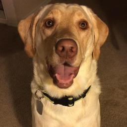 Profile Picture of Chase Hoffman (@chasehoffman80) on Twitter
