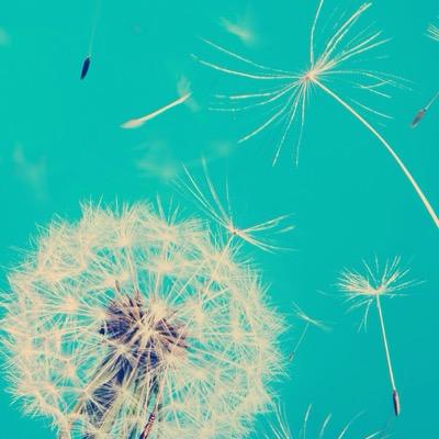 Profile Picture of Julia Reichel (@JulchenReichel) on Twitter