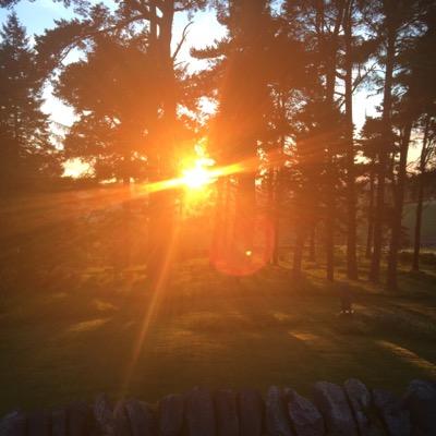 Profile Picture of George Irwin (@GRVHI) on Twitter