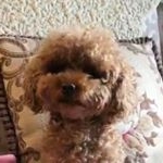 Profile Picture of Sizhu Qu (@doris_qu_een) on Instagram