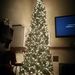Profile Picture of Erika Shepard (@eeve0629) on Pinterest