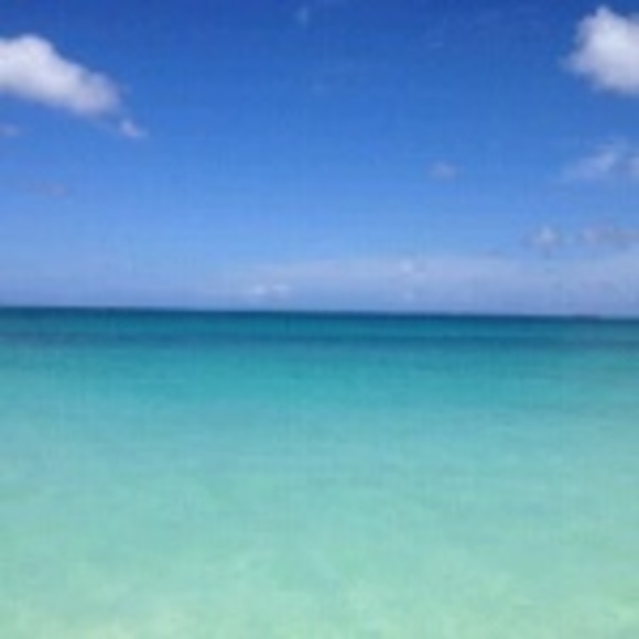 Profile Picture of Sarah Forslund (@bibadushi) on Poshmark